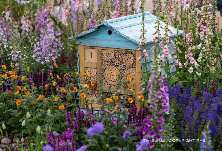 Chelsea Flower Show kukka-asetelmia.